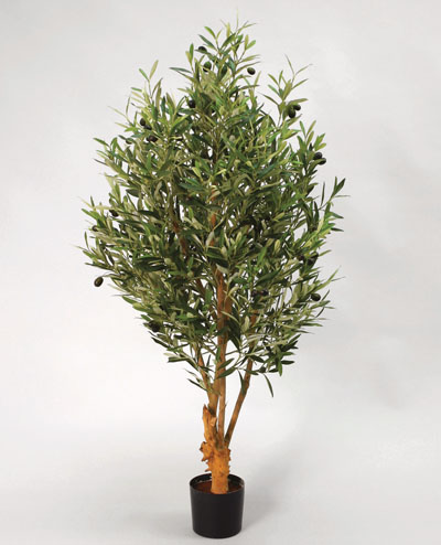 1095-110 Olive Tree 110cm, 1095-140 Olive Tree 140cm, 1095-170 Olive Tree 170cm
